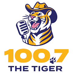 Live streaming The Tiger
