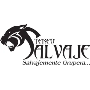 Live streaming Stereo Salvaje