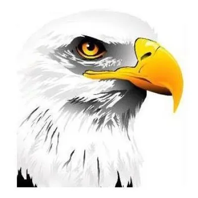 Live streaming The Eagle