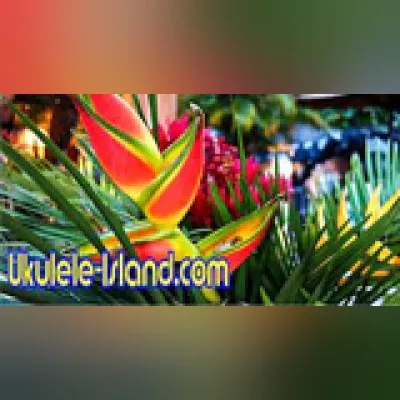 Live streaming Aloha Joe's Ukulele Island Radio
