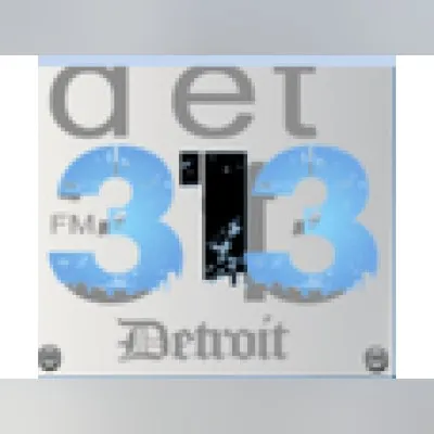 Live streaming Det 313 FM