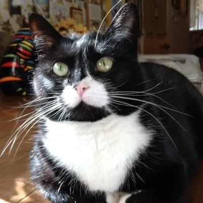 Live streaming RockinghamCountyRadio