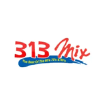 Live streaming 313TheMix