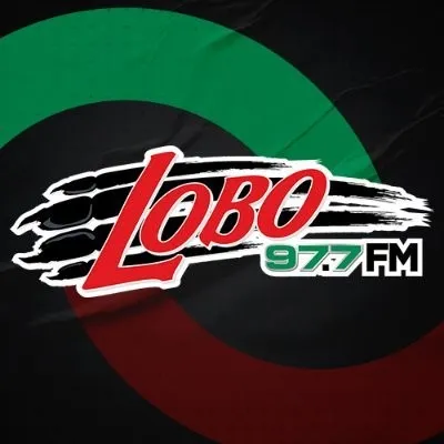 Live streaming Lobo