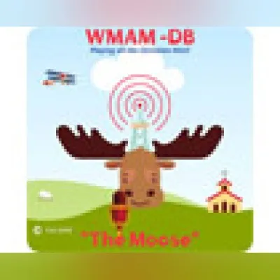 Live streaming WMAM-DB “The Moose”