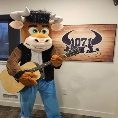 Live streaming The Bull