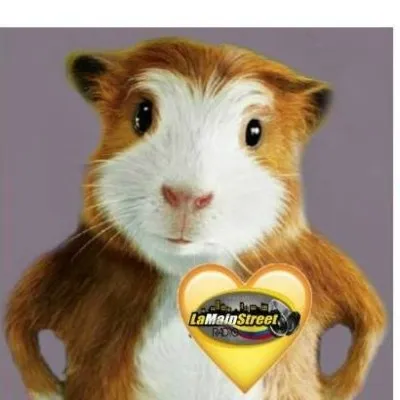 Live streaming La Main St Radio