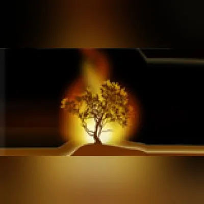 Live streaming Radio Flambeau De Jesus Christ