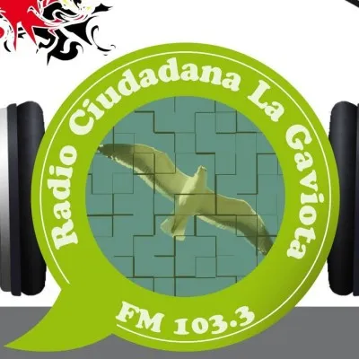 Live streaming Ciudadana La Gaviota