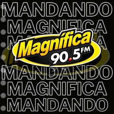 Live streaming Magnifica