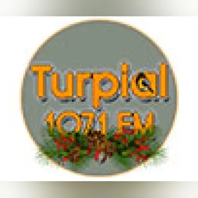 Live streaming Turpial