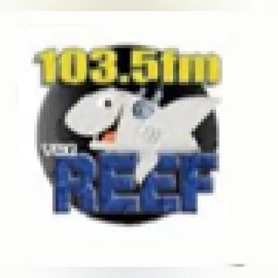 The Reef - WAXJ
